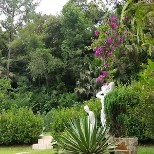 Domus Espaço In Sol E Natureza Blumenau